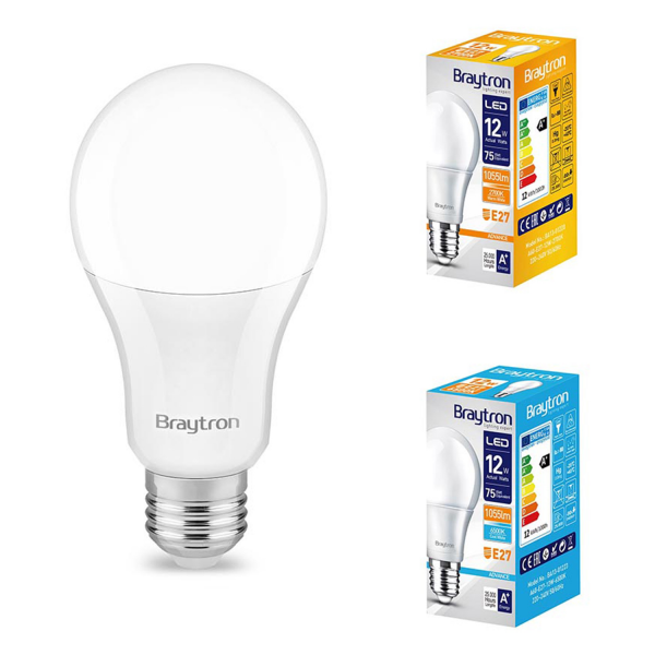 10er Sparpack | LED Leuchtmittel E27 12 Watt | A60 | 1055...