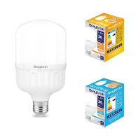 LED Leuchtmittel E27 30W | T100