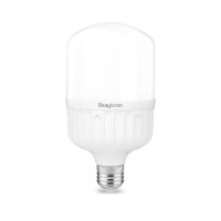 LED Leuchtmittel E27 30W | T100