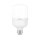 LED Leuchtmittel E27 30W | T100