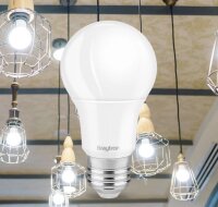LED Leuchtmittel E27 9 Watt | A60