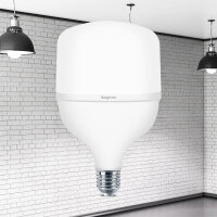 LED Leuchtmittel E27 38W | T120