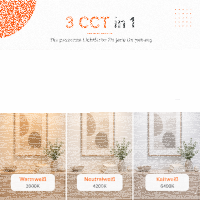 LED Panel Einbauleuchte rund 23W IP20 Ø 28,0 cm | CCT (warmweiß 3000K, neutralweiß 4200K, kaltweiß 6400K)